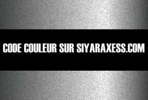 306 - SILVER [1983 - 1984]
