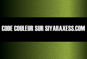 Q5 - VERT ABSINTHE MET [2003 - 2007]