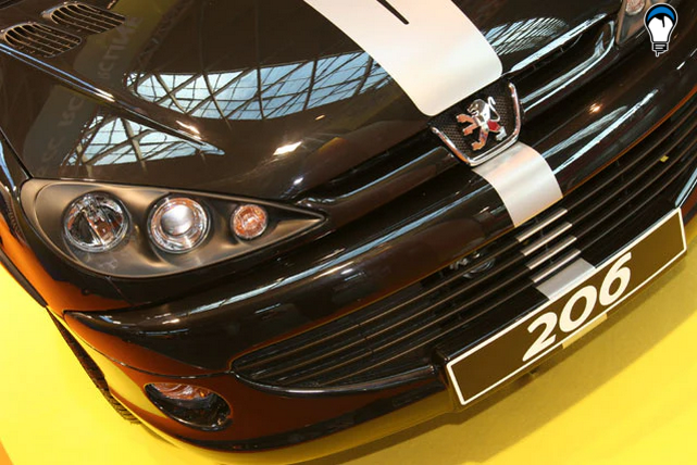 Peugeot 206 Morette