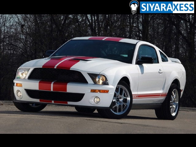 ford Mustang Shelby GT500  - 2006